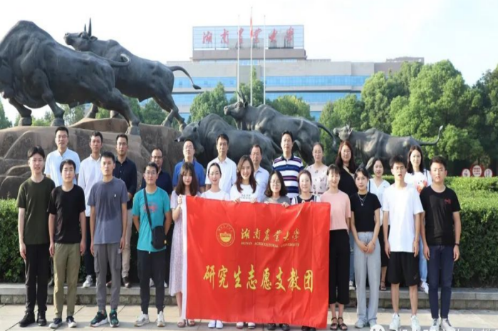 图片12.png